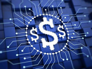 楊望 以數字貨幣破題普惠金融，數字技術服務實體經濟新路徑